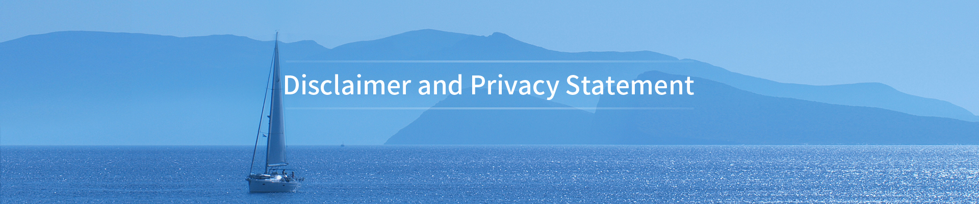 Disclaimer and Privacy Statement